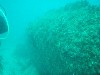 sm_p3110041.jpg