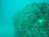 sm_p3110042.jpg