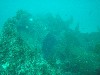 sm_p3110043.jpg