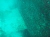 sm_p3110044.jpg