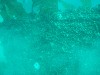 sm_p3110048.jpg