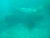 sm_p3110049.jpg