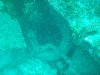 sm_p3110056.jpg