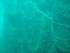 sm_p3110057.jpg