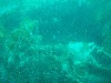 sm_p3110059.jpg
