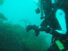 sm_p3110060.jpg