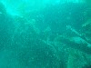 sm_p3110063.jpg