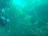 sm_p3110064.jpg