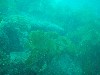 sm_p3110067.jpg