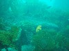 sm_p3110068.jpg