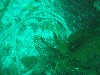 sm_p3110069.jpg