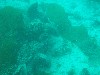 sm_p3110073.jpg