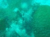 sm_p3110074.jpg