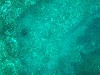 sm_p3110077.jpg