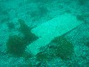 sm_p3110078.jpg