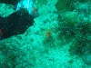 sm_p3110079.jpg