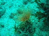 sm_p3110080.jpg