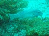 sm_p3110081.jpg