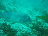 sm_p3110082.jpg