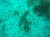 sm_p3110083.jpg