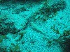 sm_p3110085.jpg
