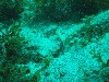 sm_p3110086.jpg