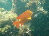 sm_p3110094.jpg