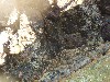 sm_p3110096.jpg