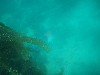 sm_p3110097.jpg