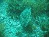 sm_p3110099.jpg