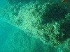 sm_p3110100.jpg