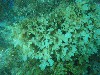 sm_p3110103.jpg