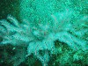 sm_p3110105.jpg