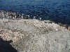 sm_p3110118.jpg