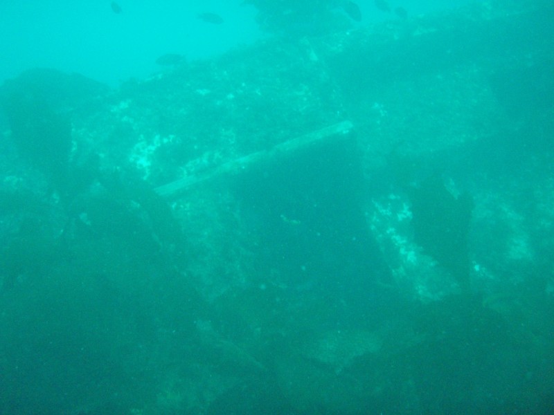 sm_p3310560.jpg