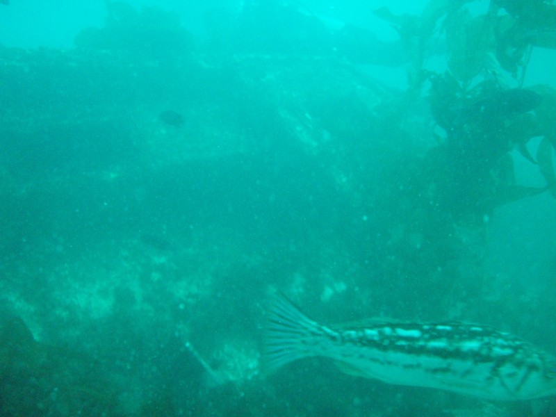 sm_p3310561.jpg