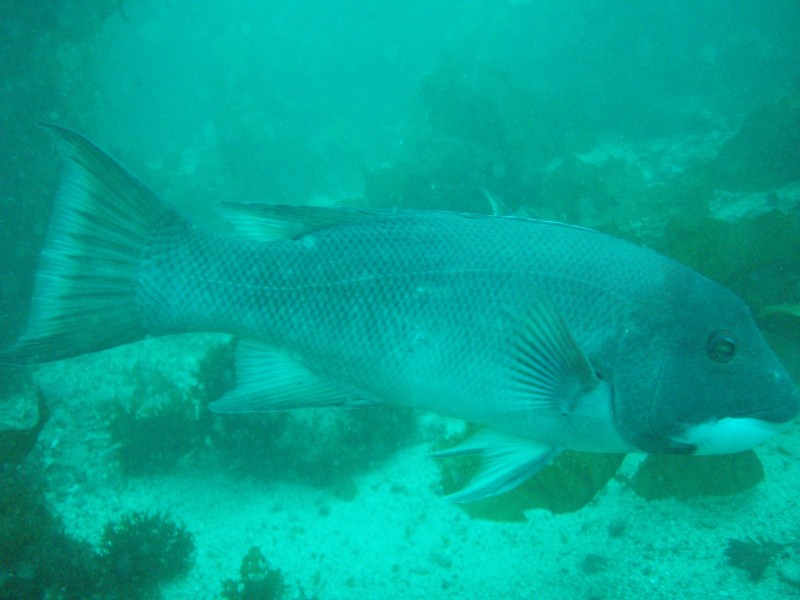 sm_p3310562.jpg