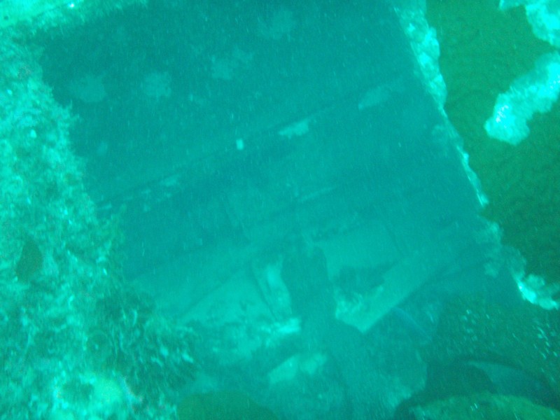 sm_p3310563.jpg