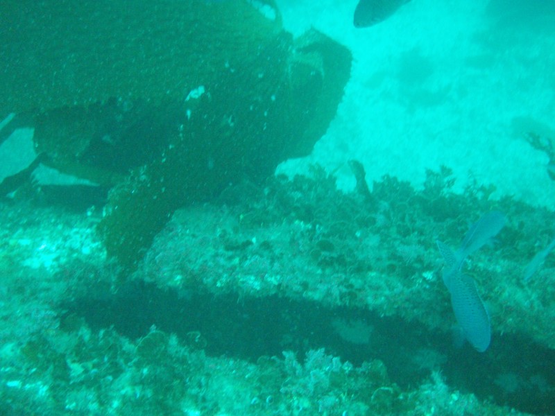 sm_p3310564.jpg