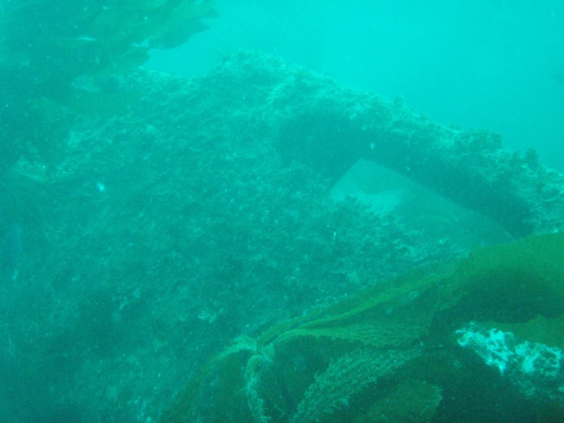 sm_p3310566.jpg