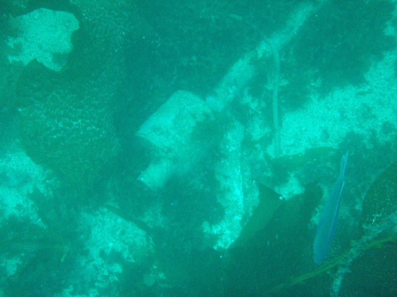 sm_p3310574.jpg