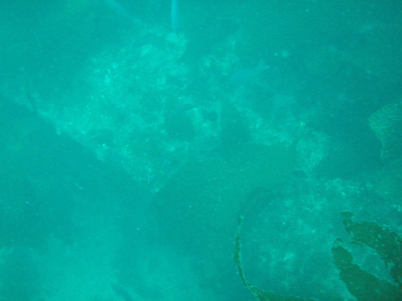 sm_p3310575.jpg