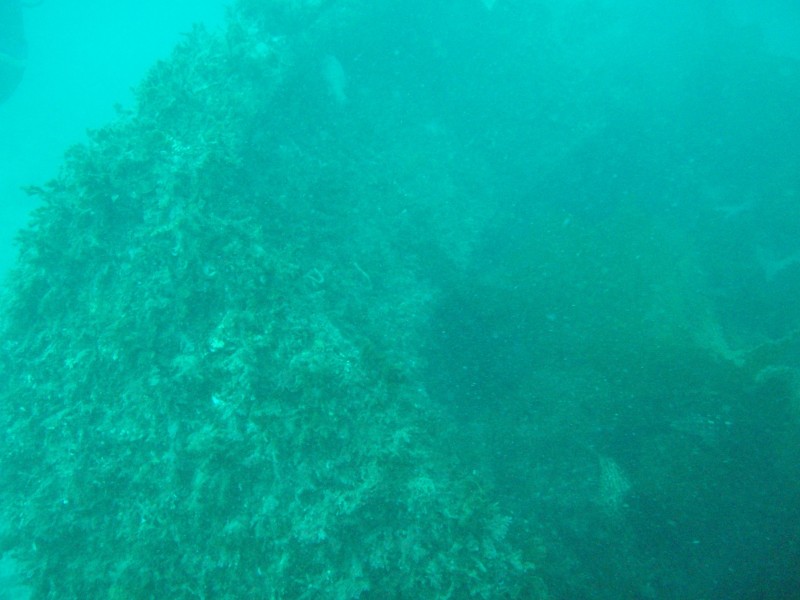 sm_p3310577.jpg