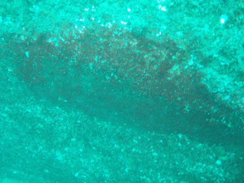 sm_p3310579.jpg