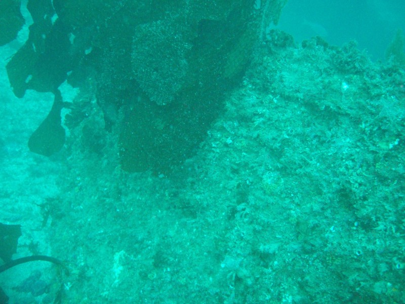 sm_p3310580.jpg