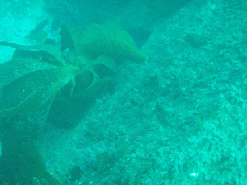 sm_p3310581.jpg