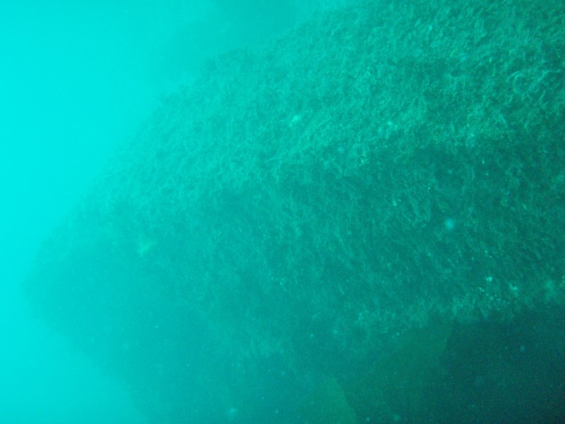 sm_p3310582.jpg