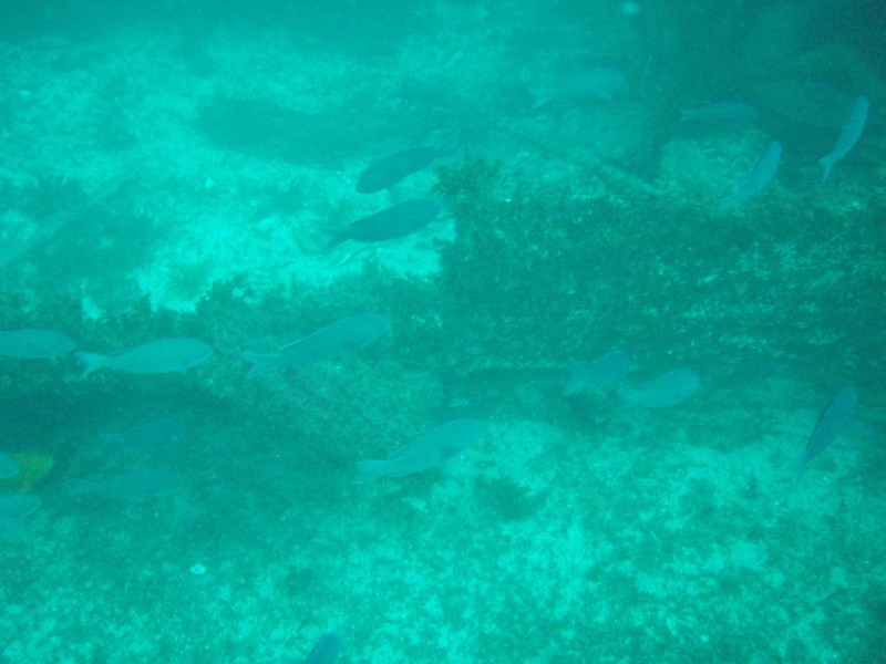 sm_p3310583.jpg