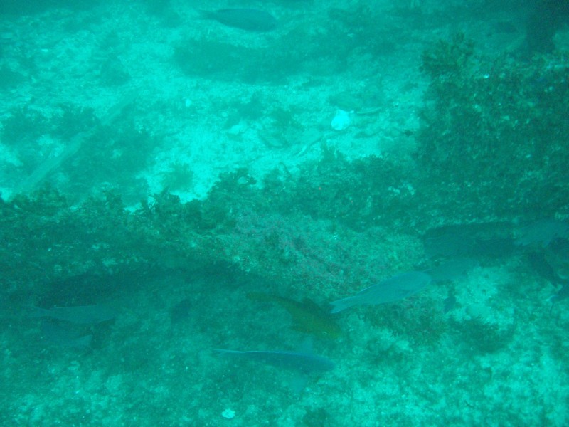 sm_p3310584.jpg