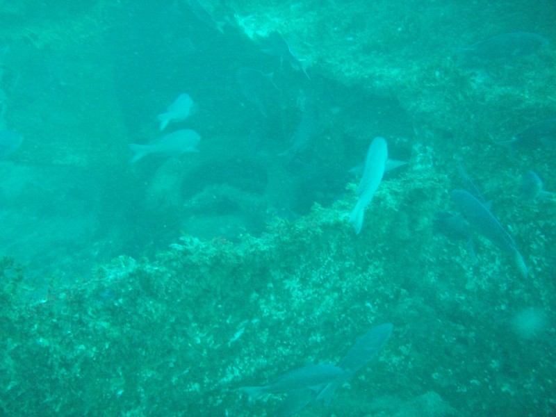 sm_p3310585.jpg